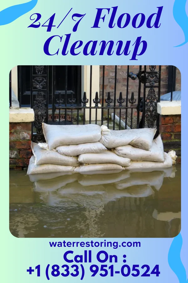 24/7 Flood Cleanup in Allegan, MI