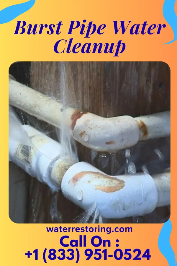 Burst Pipe Water Cleanup in Allegan, MI