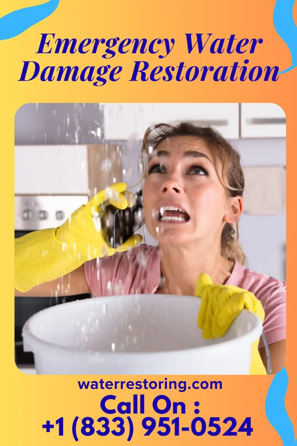 Emergency Water Damage Restoration in Allegan, MI