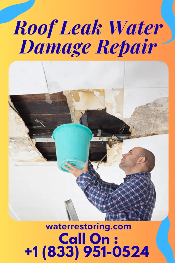 Roof Leak Water Damage Repair in Allegan, MI