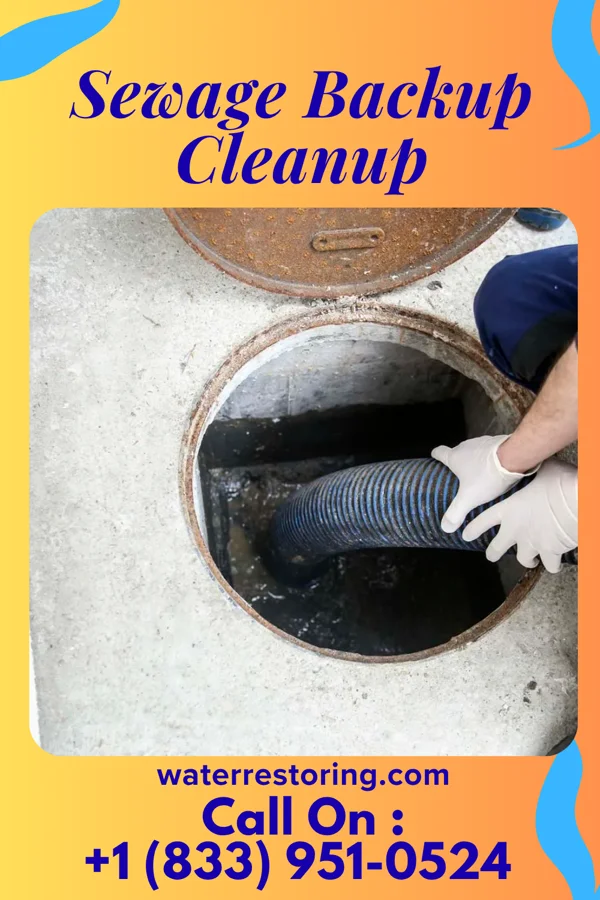 Sewage Backup Cleanup in Allegan, MI