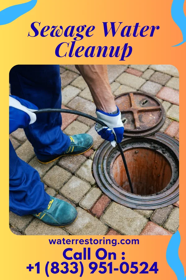 Sewage Water Cleanup in Allegan, MI