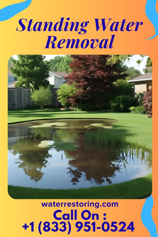 Standing Water Removal in Allegan, MI